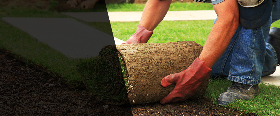 Nixa Landscapers